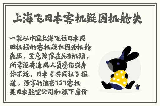 久久国产精品免费网站